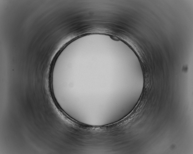 X0000099991139200806201443