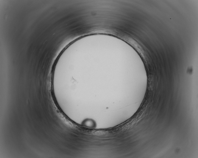 X0000099991140200806201443