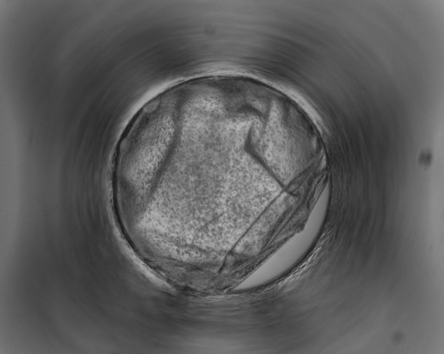 X0000099991142200806201443