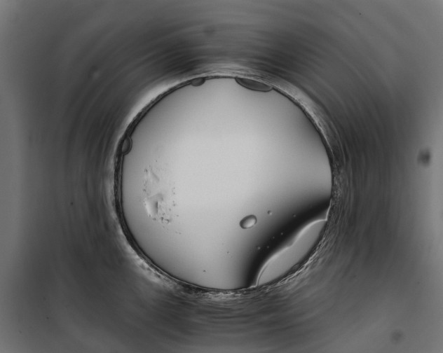 X0000099991147200806201443