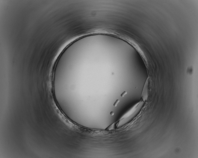 X0000099991148200806201443