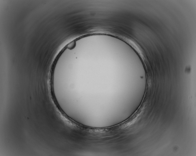 X0000099991149200806201443