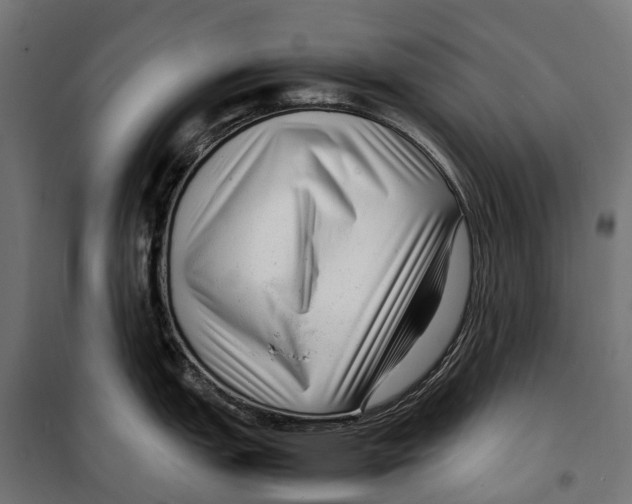 X0000099991151200806201443