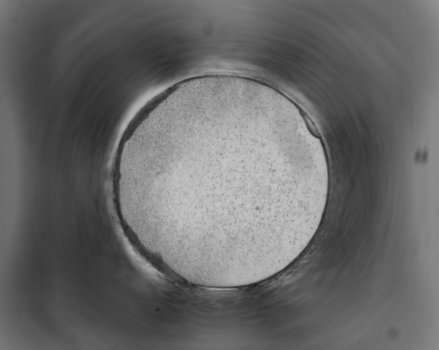 X0000099991152200806201443