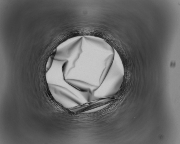 X0000099991153200806201442