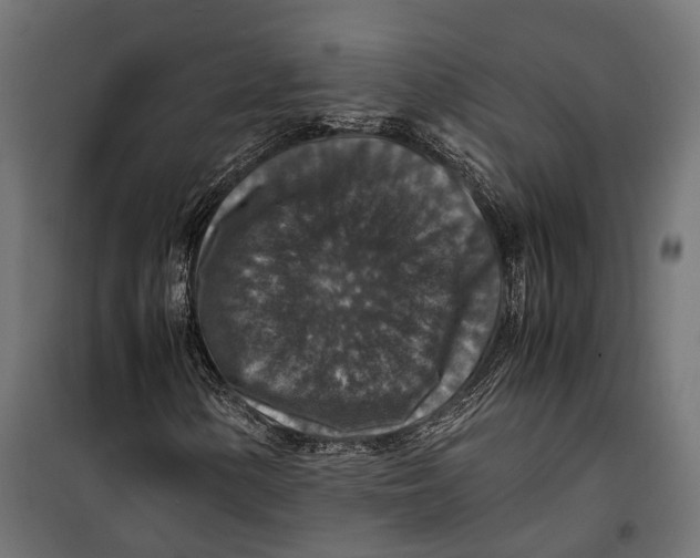 X0000099991154200806201442