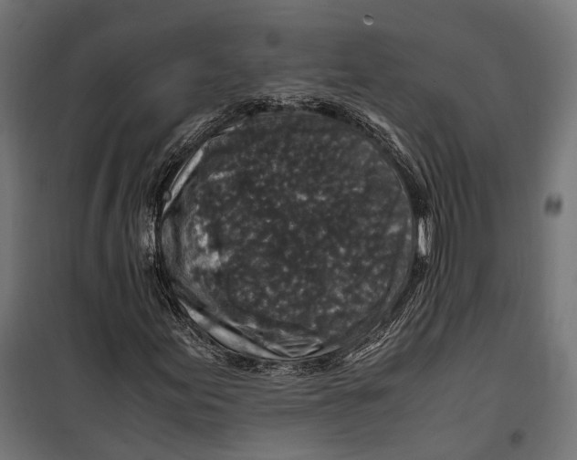 X0000099991155200806201442