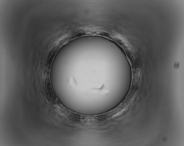 X0000099991157200806201442