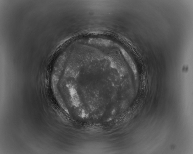 X0000099991158200806201442