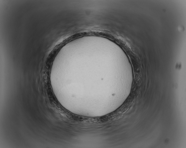 X0000099991159200806201442