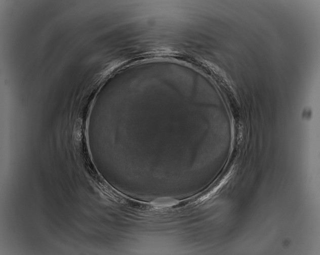 X0000099991161200806201442