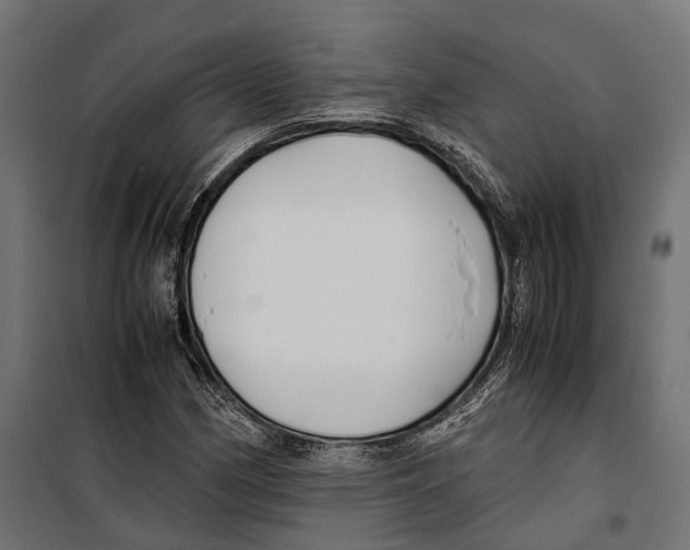 X0000099991162200806201442