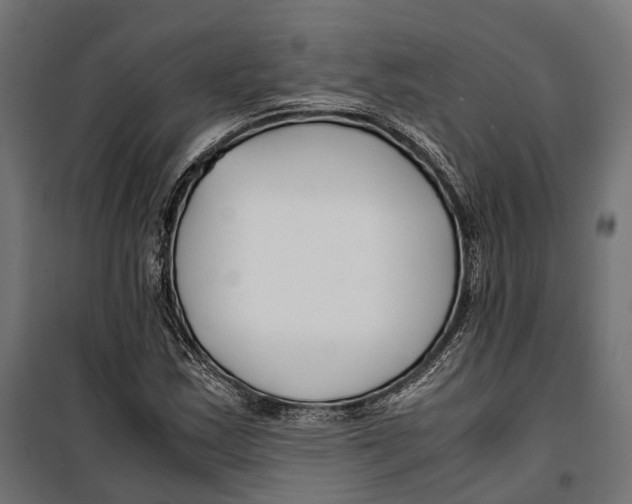 X0000099991163200806201442