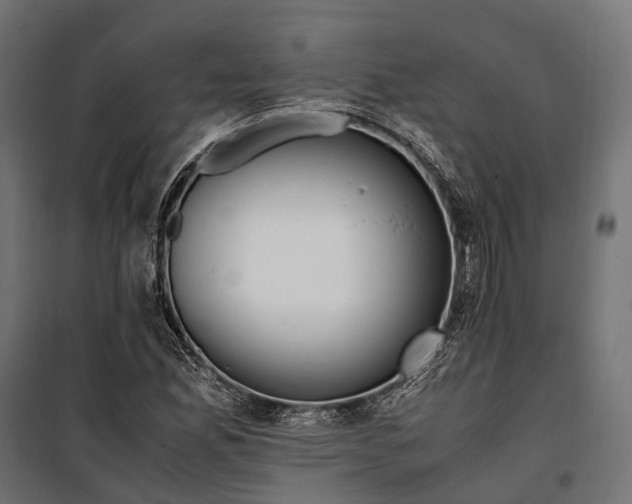 X0000099991165200806201442