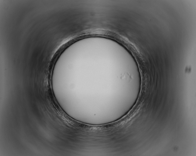 X0000099991166200806201442