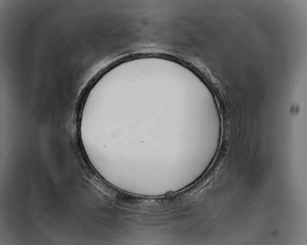 X0000099991167200806201442