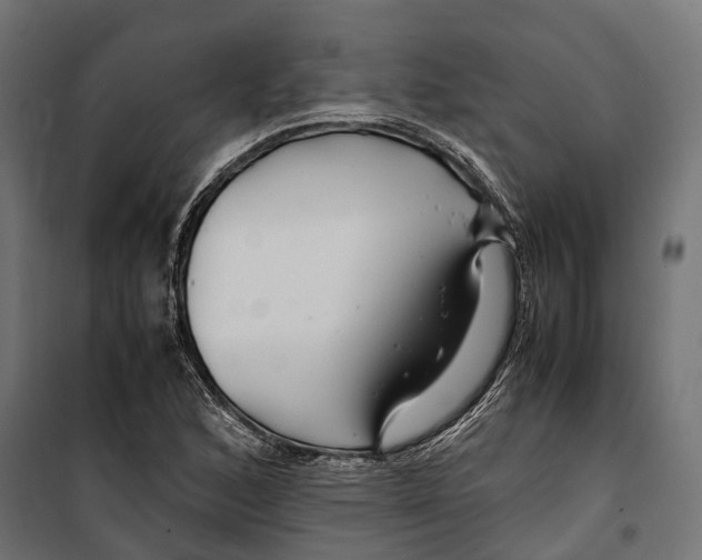 X0000099991168200806201442