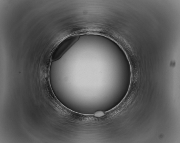 X0000099991169200806201442