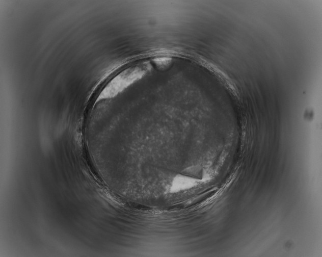 X0000099991170200806201442