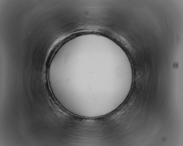 X0000099991172200806201442