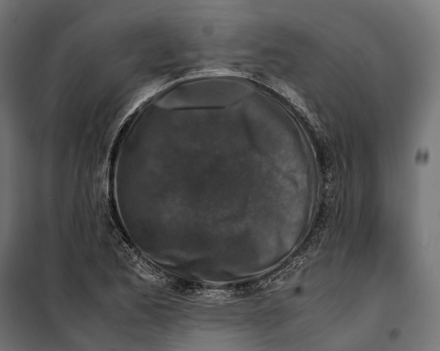 X0000099991173200806201442