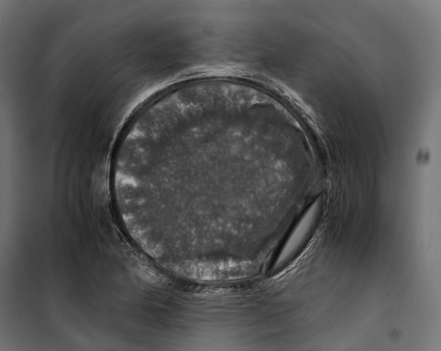 X0000099991174200806201442