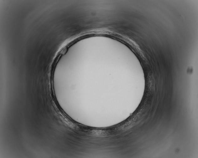 X0000099991176200806201442