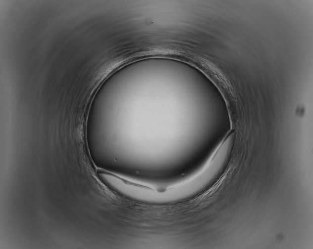 X0000099991177200806201442