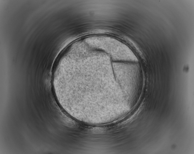 X0000099991178200806201442