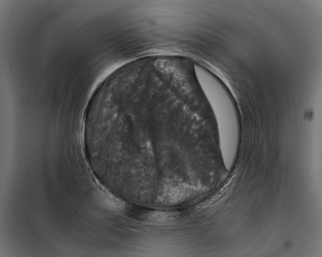 X0000099991179200806201442