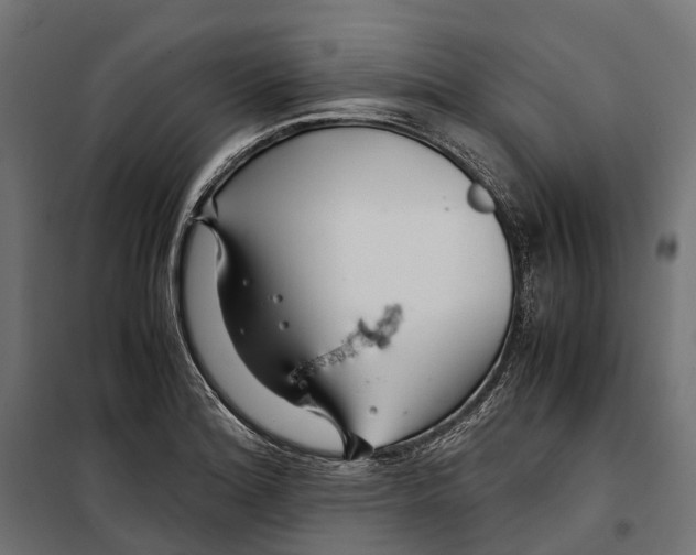 X0000099991180200806201442