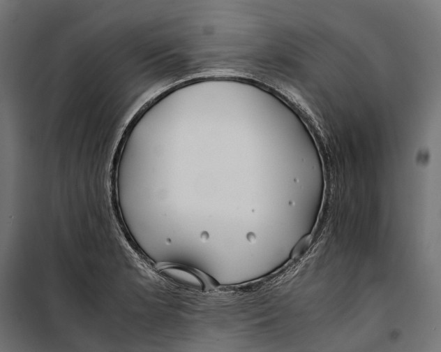 X0000099991181200806201442