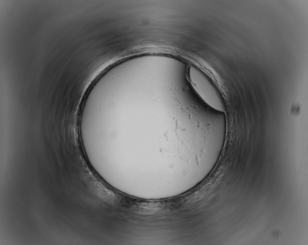 X0000099991182200806201442