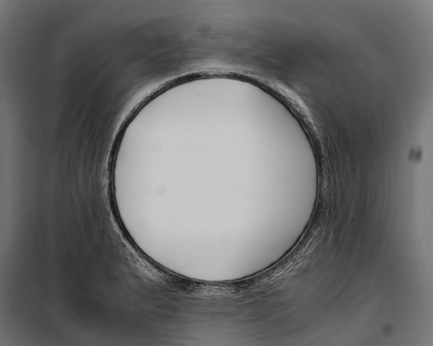 X0000099991183200806201442