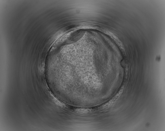 X0000099991185200806201442