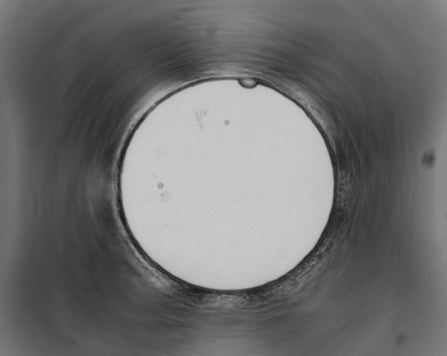 X0000099991187200806201442