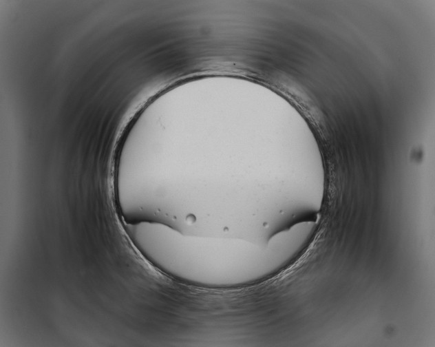 X0000099991188200806201442