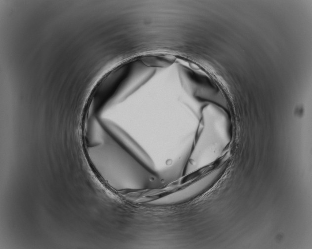 X0000099991189200806201442