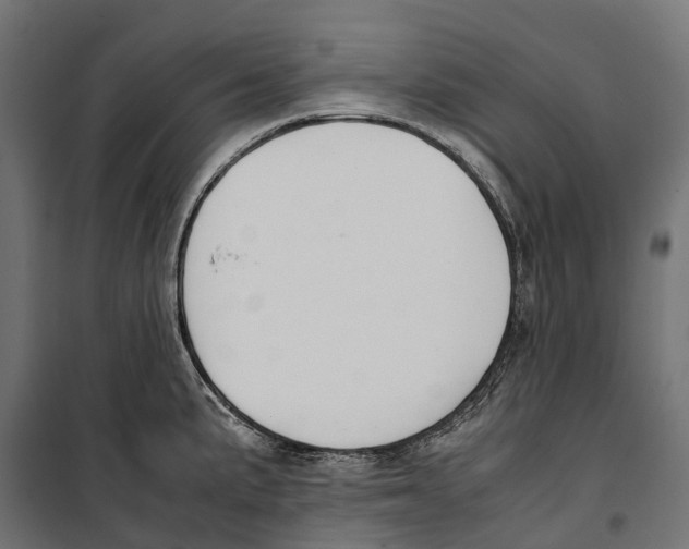 X0000099991191200806201442