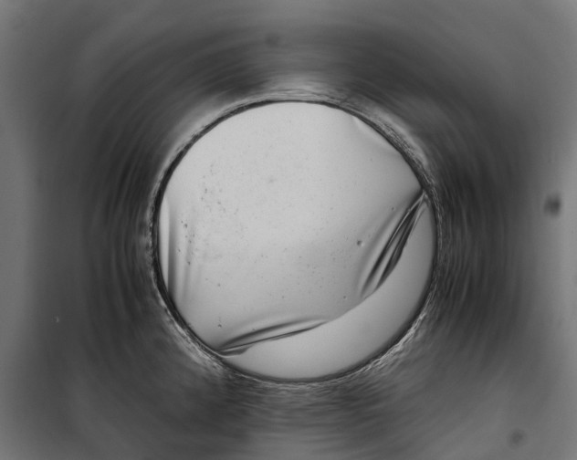 X0000099991192200806201442