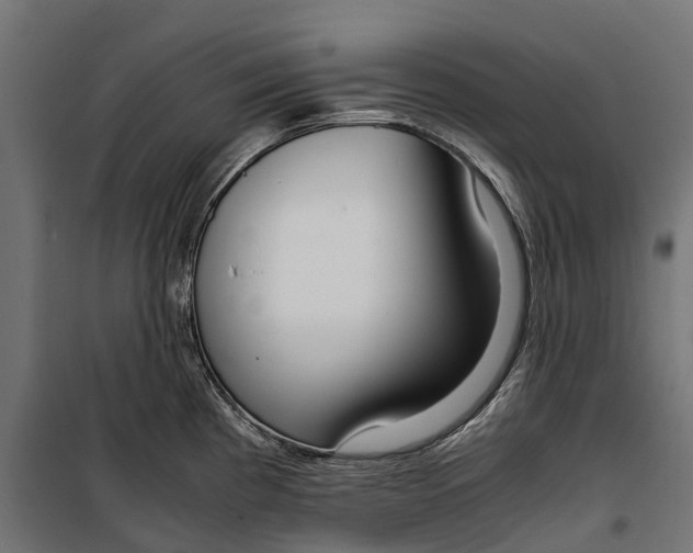 X0000099991193200806201442