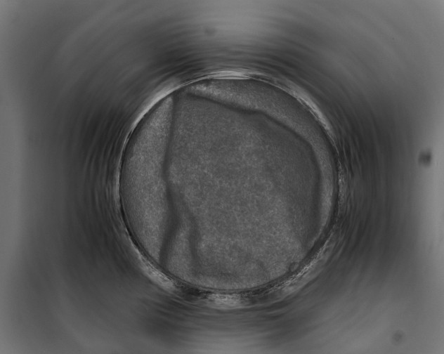 X0000099991194200806201442