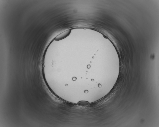 X0000099991195200806201442