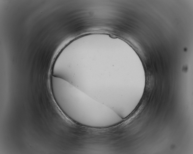 X0000099991196200806201442