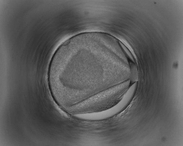 X0000099991197200806201442