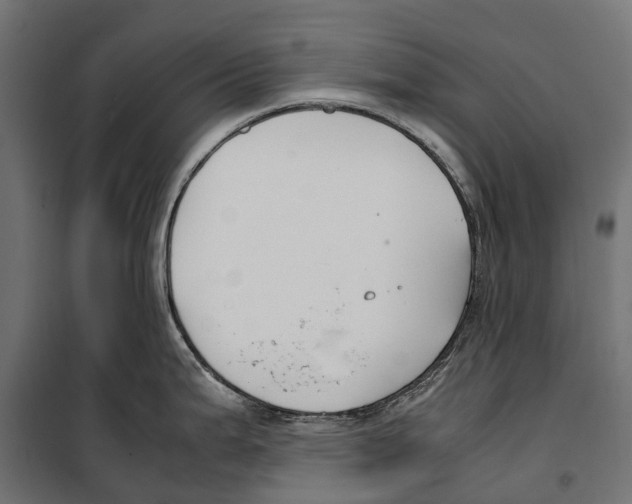 X0000099991199200806201442