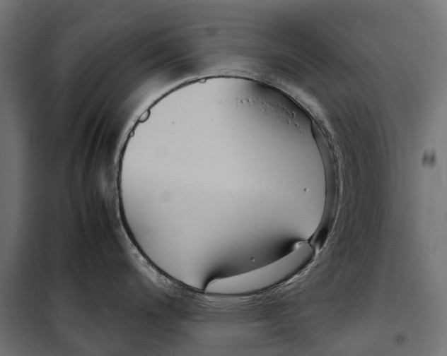 X0000099991200200806201442