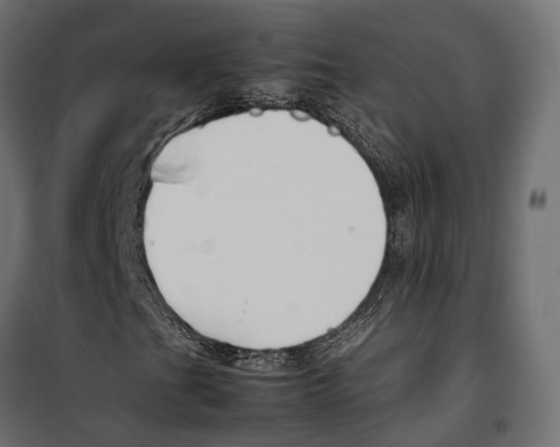 X0000099991201200806201441