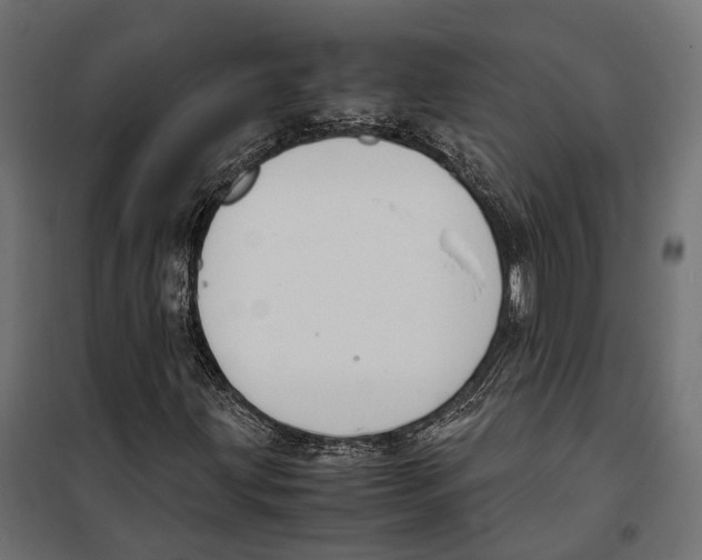 X0000099991203200806201441