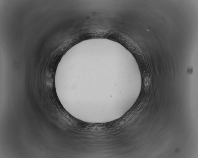 X0000099991204200806201441